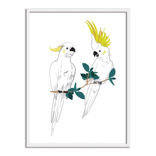 Quadro Decorativo Dois Pássaros Cacatuas Brancas