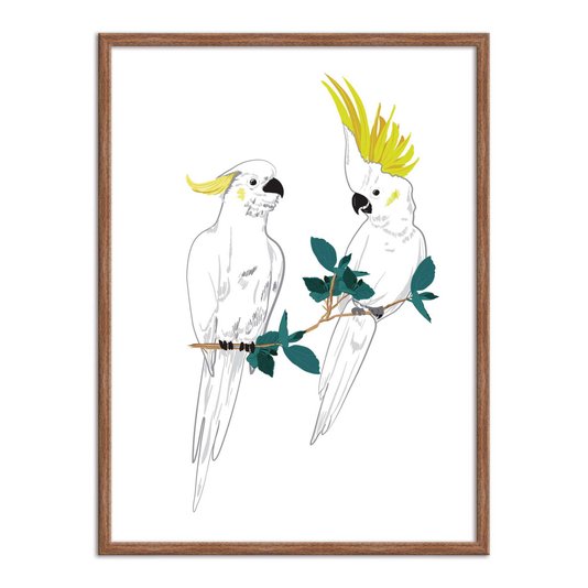 Quadro Decorativo Dois Pássaros Cacatuas Brancas