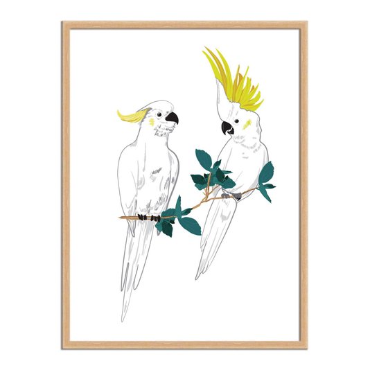 Quadro Decorativo Dois Pássaros Cacatuas Brancas
