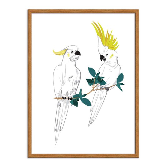 Quadro Decorativo Dois Pássaros Cacatuas Brancas