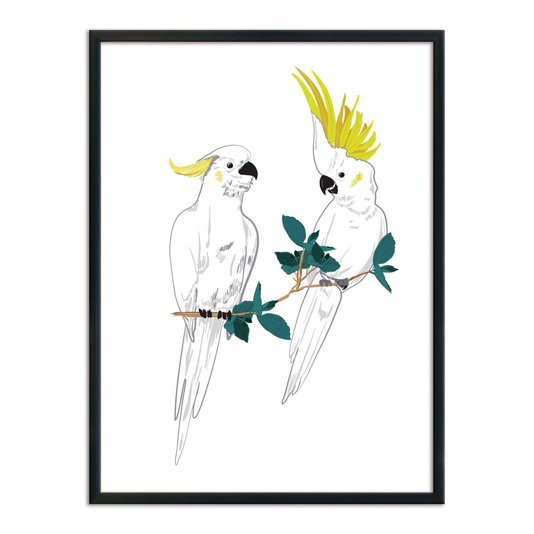 Quadro Decorativo Dois Pássaros Cacatuas Brancas
