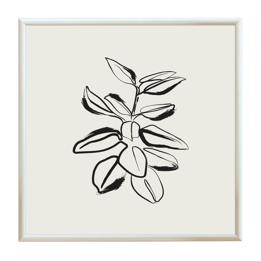 Quadro Decorativo Esboço Planta Estilo Japandi