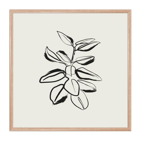 Quadro Decorativo Esboço Planta Estilo Japandi