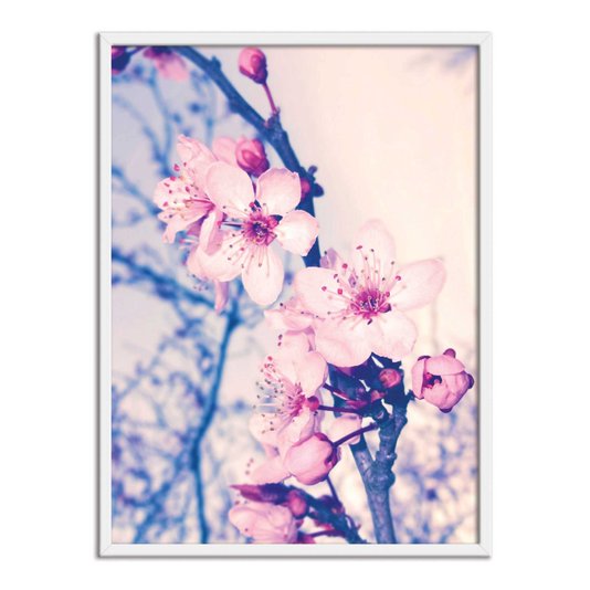 Quadro Decorativo Flor de Cerejeira