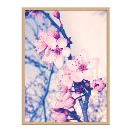 Quadro Decorativo Flor de Cerejeira