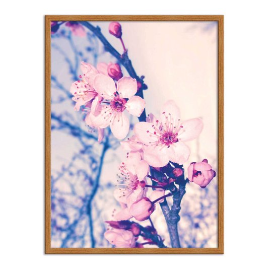 Quadro Decorativo Flor de Cerejeira