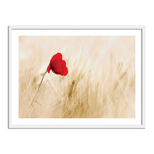 Quadro Decorativo Flor Vermelha