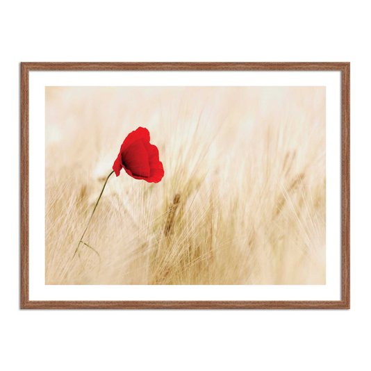 Quadro Decorativo Flor Vermelha