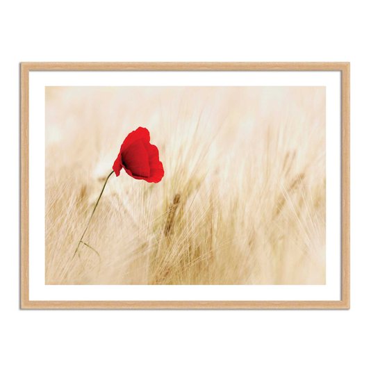 Quadro Decorativo Flor Vermelha