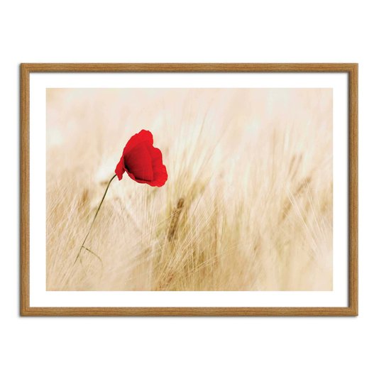 Quadro Decorativo Flor Vermelha