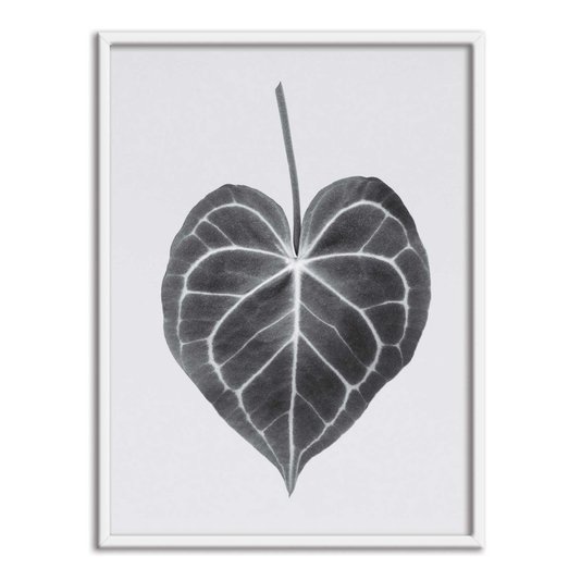 Quadro Decorativo Folha Costela de Adão