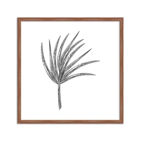 Quadro Decorativo Folha de Coqueiro