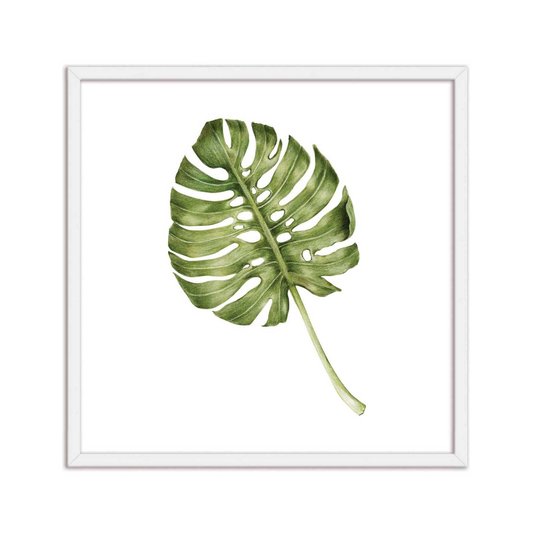 Quadro Decorativo folhagem Costela-de-Adão Q3182_1