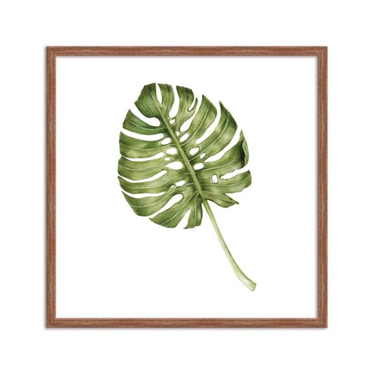 Quadro Decorativo folhagem Costela-de-Adão Q3182_1