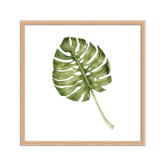 Quadro Decorativo folhagem Costela-de-Adão Q3182_1