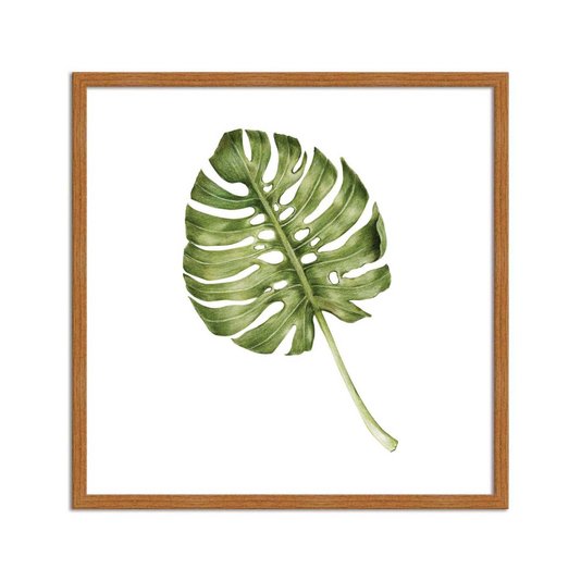 Quadro Decorativo folhagem Costela-de-Adão Q3182_1