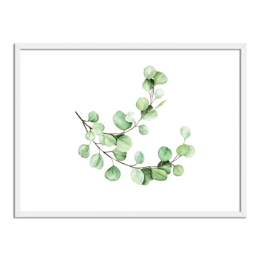 Quadro Decorativo Folhagem Natureza