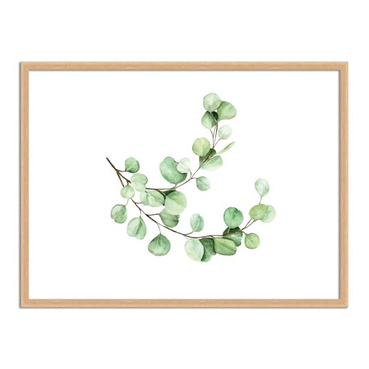 Quadro Decorativo Folhagem Natureza