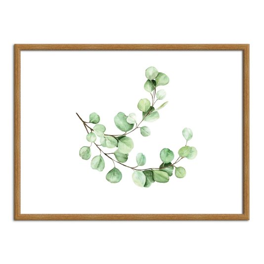Quadro Decorativo Folhagem Natureza