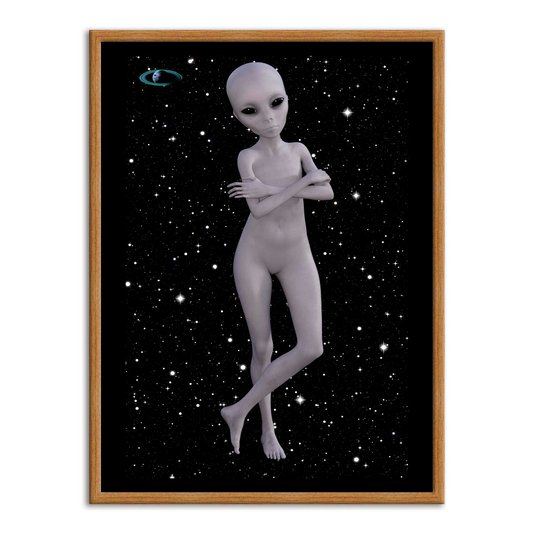 Quadro Decorativo Gamer Geek e Nerd Extraterrestre