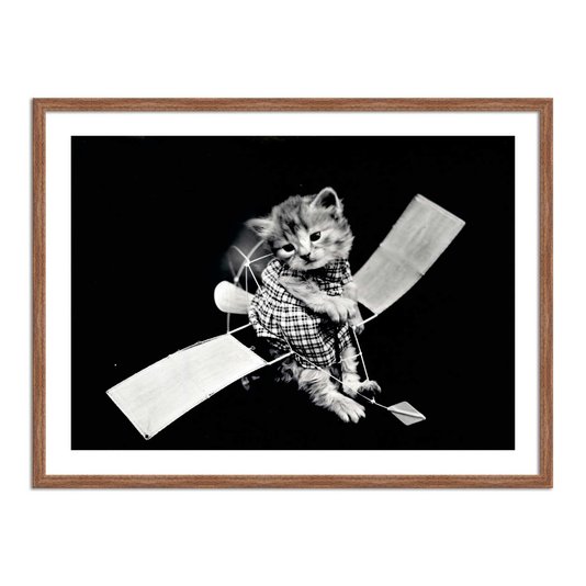 Quadro Decorativo Gatinhos