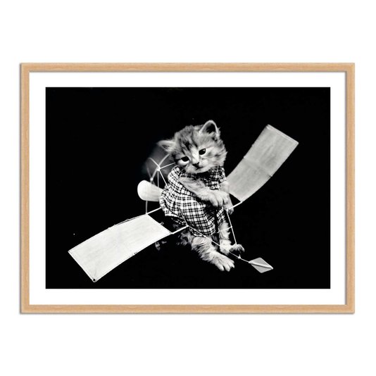Quadro Decorativo Gatinhos