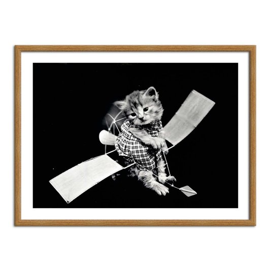 Quadro Decorativo Gatinhos