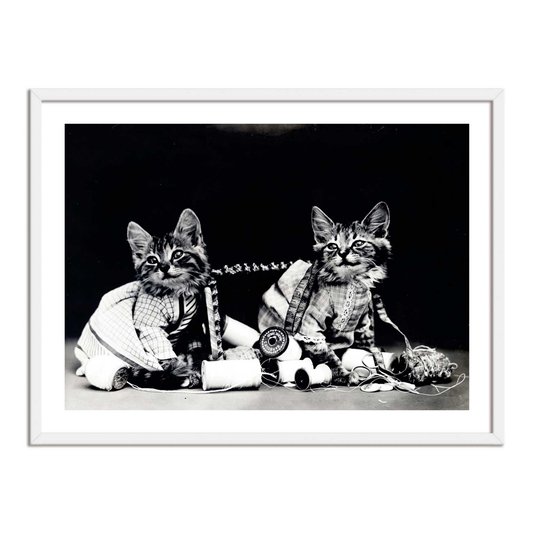 Quadro Decorativo Gatinhos