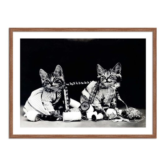 Quadro Decorativo Gatinhos