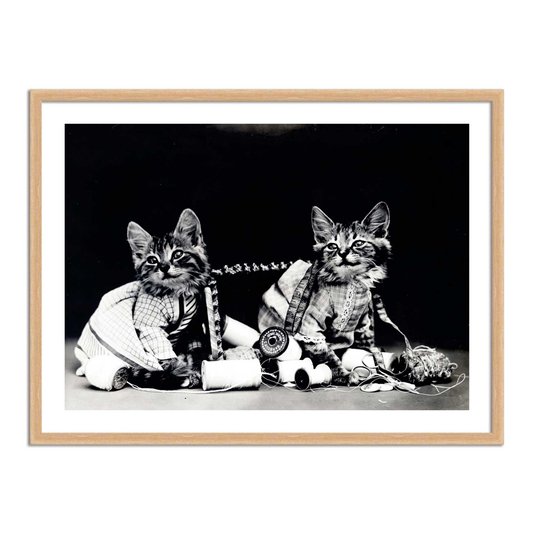 Quadro Decorativo Gatinhos