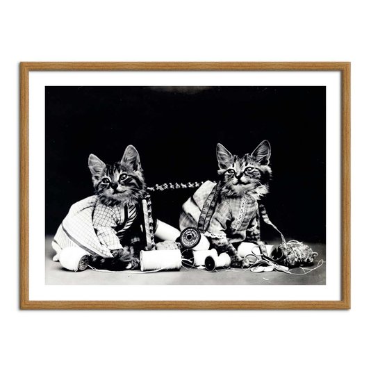 Quadro Decorativo Gatinhos