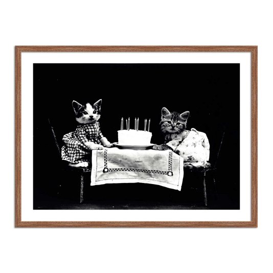 Quadro Decorativo Gatinhos Aniversário