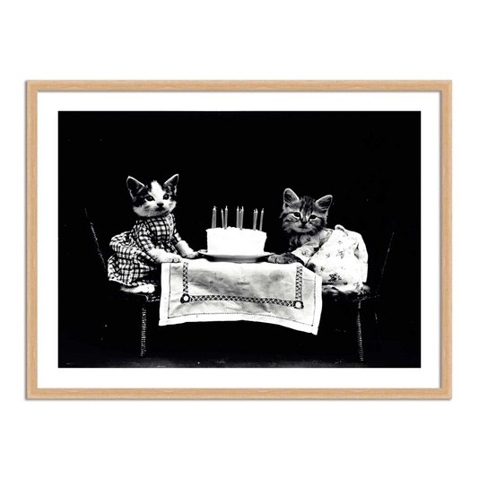 Quadro Decorativo Gatinhos Aniversário
