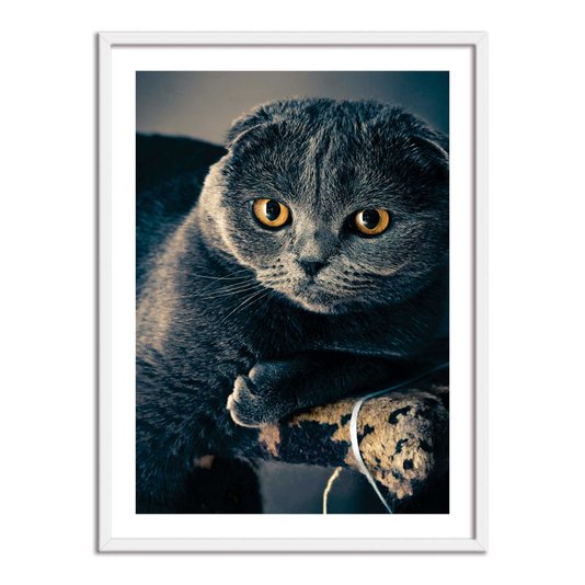 Quadro Decorativo Gato Preto
