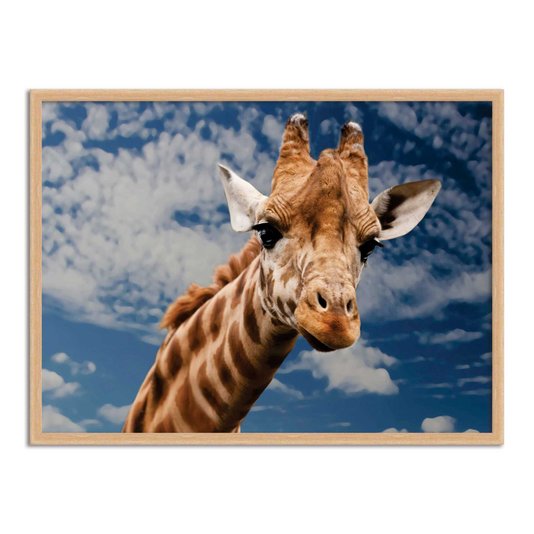 Quadro Decorativo Girafa