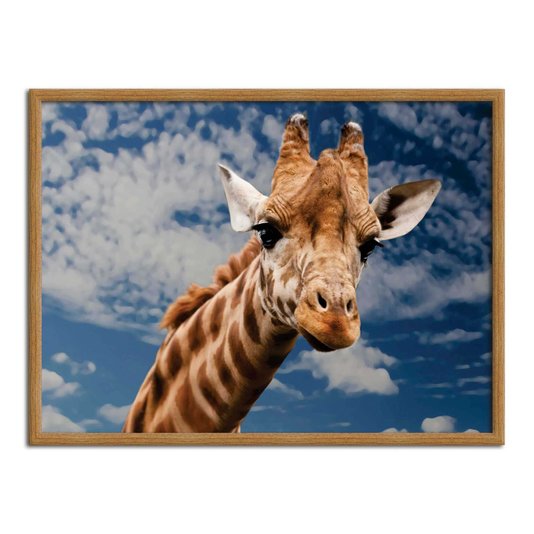 Quadro Decorativo Girafa
