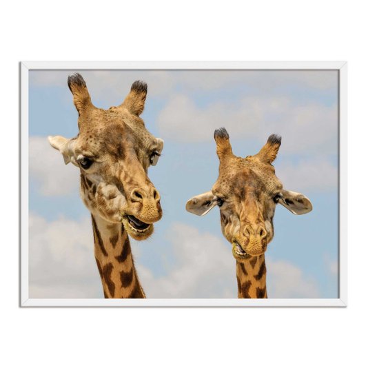 Quadro Decorativo Girafas