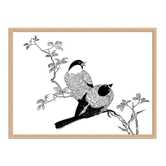 Quadro Decorativo Gravura de Pássaros
