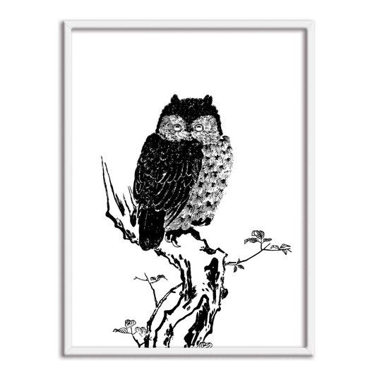 Quadro Decorativo Gravura de Uma Coruja