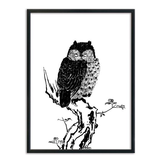 Quadro Decorativo Gravura de Uma Coruja
