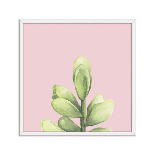 Quadro Decorativo Mini Suculenta Verde Fundo Rosa Q3194_1