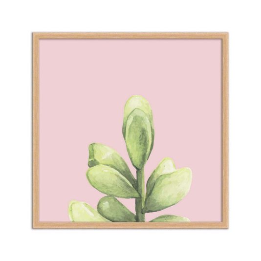 Quadro Decorativo Mini Suculenta Verde Fundo Rosa Q3194_1