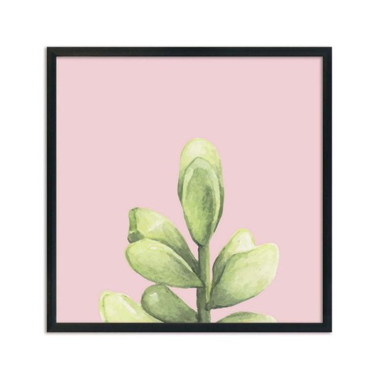 Quadro Decorativo Mini Suculenta Verde Fundo Rosa Q3194_1