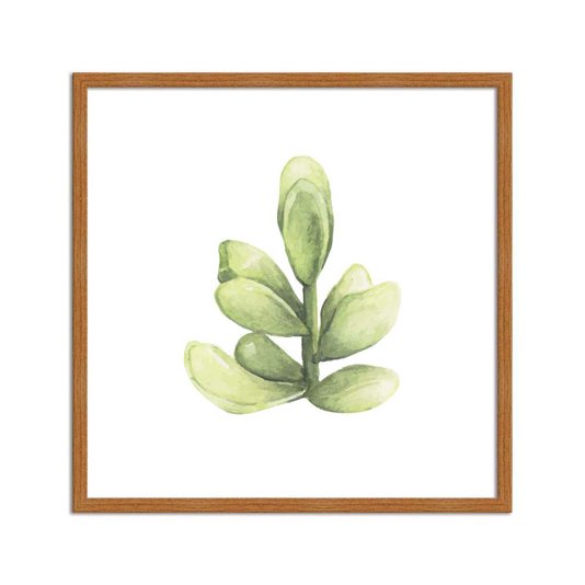 Quadro Decorativo Mini Suculenta Verde Watercolor Q3183_1