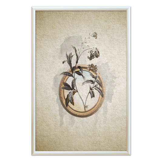 Quadro Decorativo Molduras Com Flores Vintage