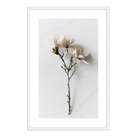 Quadro Decorativo Natureza Minimalista Flores