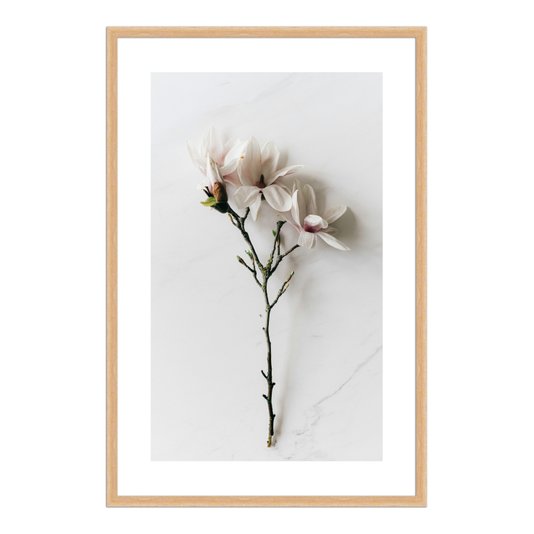 Quadro Decorativo Natureza Minimalista Flores