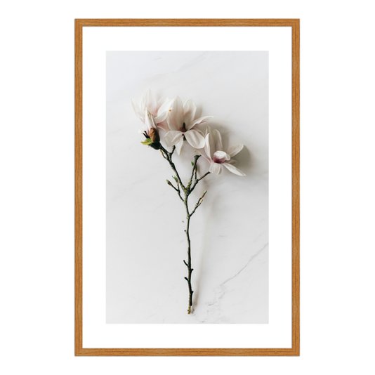Quadro Decorativo Natureza Minimalista Flores