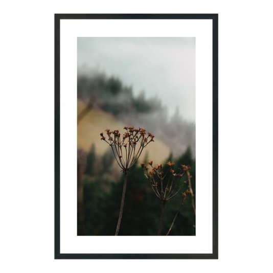 Quadro Decorativo Natureza Minimalista Flores