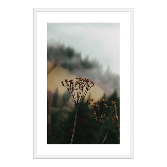 Quadro Decorativo Natureza Minimalista Flores